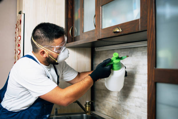 Best Pest Prevention Services  in Stockton University, NJ
