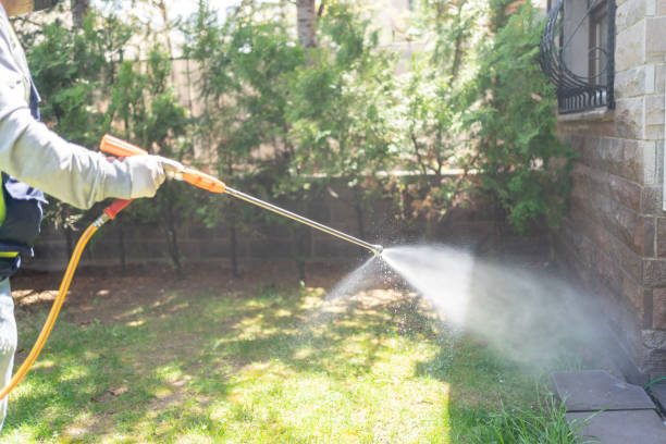 Best Rat Extermination Near Me  in Stockton University, NJ