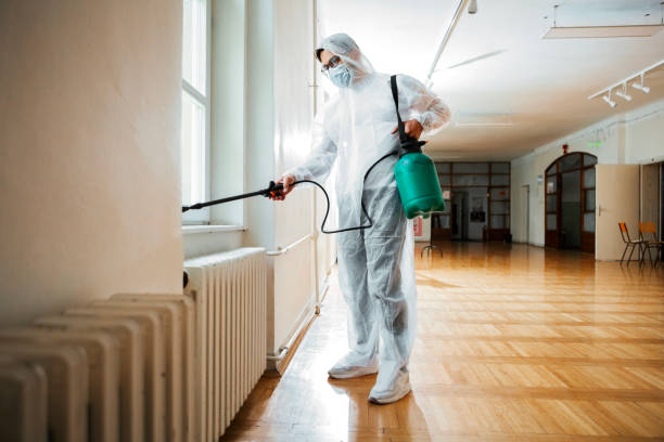 Best Rat Extermination Near Me  in Stockton University, NJ