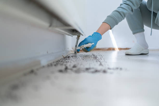 Best Commercial Pest Control Services  in Stockton University, NJ
